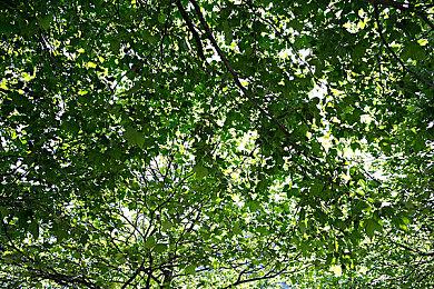 日本警察厅公布数据 去年因网游导致犯罪未满18岁达到98人