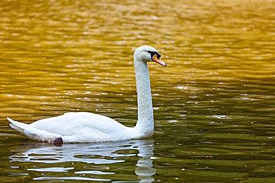 油腻师姐很醒目 《星刃》巨幅广告惊现中国香港街头